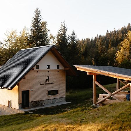 Alpine Cottage Golica Jesenice Εξωτερικό φωτογραφία