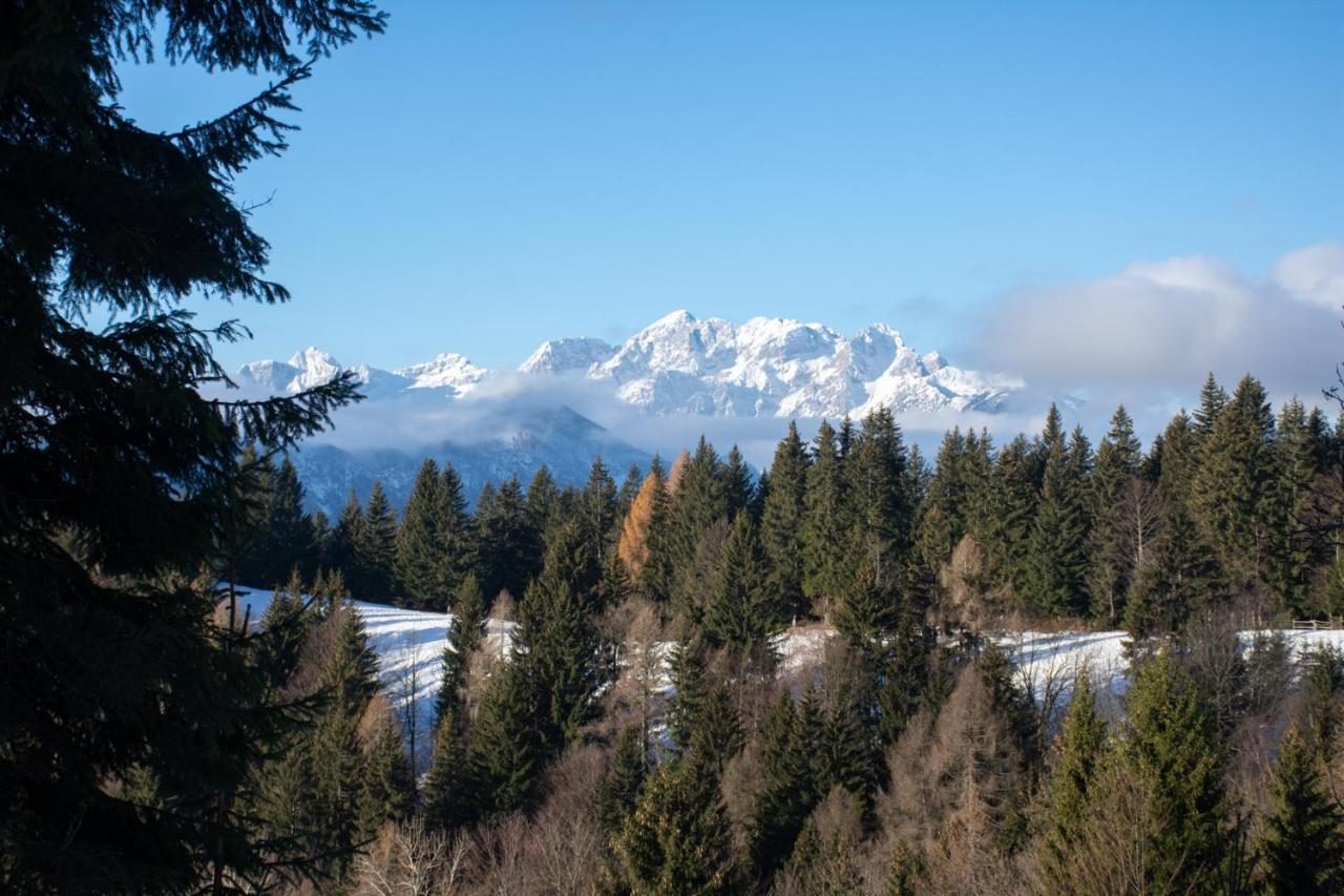 Alpine Cottage Golica Jesenice Εξωτερικό φωτογραφία
