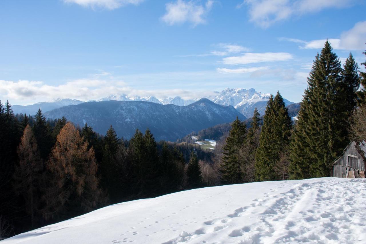 Alpine Cottage Golica Jesenice Εξωτερικό φωτογραφία