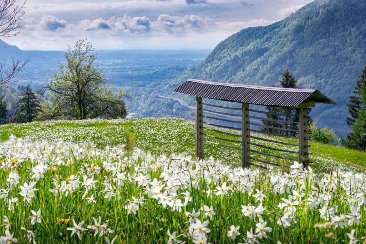 Alpine Cottage Golica Jesenice Εξωτερικό φωτογραφία